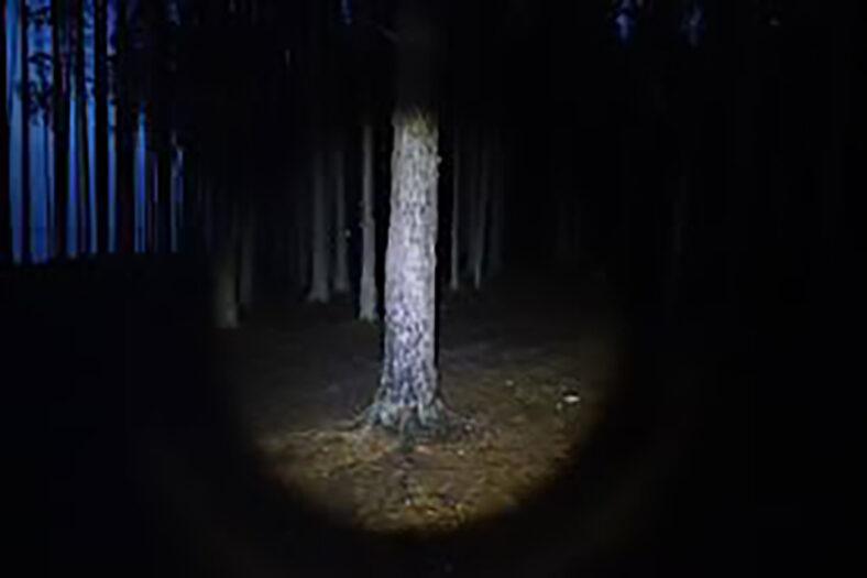 flashlight and woody